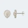 Diamant-Ohrstecker 0,162 Ct -Modegeschäft 59785845 70f03943 d214 11ed 9083 5a72d431453d pics2080