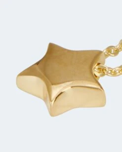 Ankerkette Mit Sternanhänger -Modegeschäft 59785878 85a94ad5 d214 11ed 9083 5a72d431453d pics2080