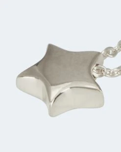 Ankerkette Mit Sternanhänger -Modegeschäft 59785879 865c30a8 d214 11ed 9083 5a72d431453d pics2080