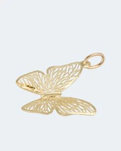 Anhänger "Schmetterling" 7 Anhänger "Schmetterling" -Modegeschäft 59806358 d41b52c9 e979 11ed 9083 5a72d431453d pics2080