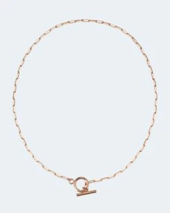 Paperclip-Kette -Modegeschäft 59829948 d7782551 0c49 11ee 9169 5a72d431453d pics2080