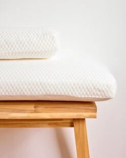 Viskokissen & Minikissen "Klima Plus" 7 Viskokissen & Minikissen "Klima Plus" -Modegeschäft 59838472 79fda708 1979 11ee 8f6f 5a72d431453d pics2080