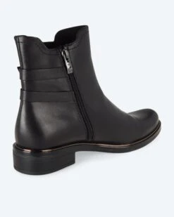 Caprice Boot Mit Gürteldeko -Modegeschäft 59889400 67a15642 4c7d 11ee 8f6f 5a72d431453d pics2080