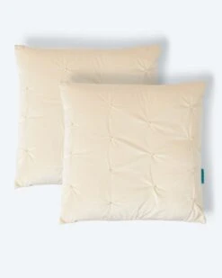 Velvet Dekokissen 2tlg. 14 Velvet Dekokissen 2tlg. -Modegeschäft 59897012 350dc1c9 53b9 11ee 8f6f 5a72d431453d pics2080