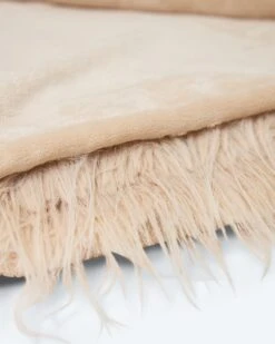 Wendedecke Langhaar-Fuchs-Optik -Modegeschäft 59897052 8e990dc9 53b9 11ee 8f6f 5a72d431453d pics2080