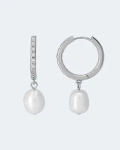 Creolen Mit SWZ-Perle -Modegeschäft 59905261 d0614661 60ec 11ee 8f6f 5a72d431453d pics2080