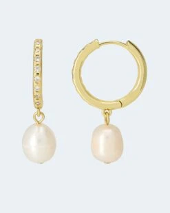 Creolen Mit SWZ-Perle